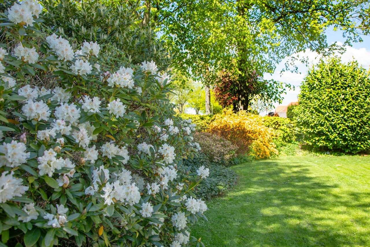 image 03